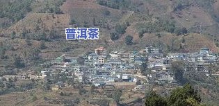 冰岛普洱茶老寨：价格、产地全面解析