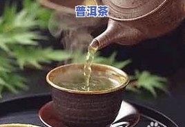 补肾壮阳的茶叶品种与推荐