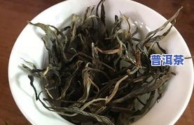 布朗山是那里的茶叶-布朗山是那里的茶叶吗