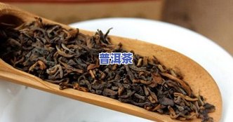 熟普洱茶泡时间长了能喝吗？有吗？也许会引起什么结果？