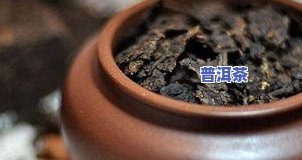 云南采风普洱茶的特点是-云南采风普洱茶的特点是什么