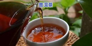 云南买普洱茶场-云南买普洱茶场在哪里