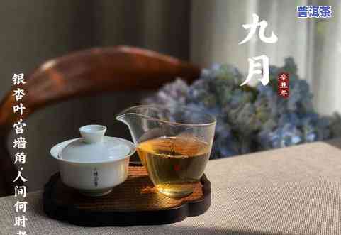 200块一两的茶叶能喝吗？探讨其品质与价值