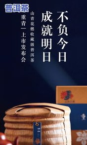 醒悟普洱茶-醒悟普洱茶价格