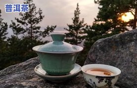 200块一两的茶叶是真的吗？探讨其价格与品质的关系