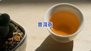 嘉茗普洱茶紫茶-嘉茗牌普洱茶