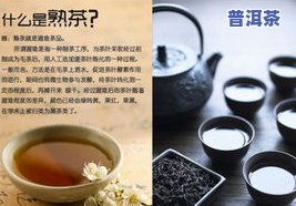 嘉茗普洱茶紫茶-嘉茗牌普洱茶