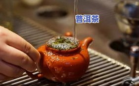 200块一两的茶叶有哪些？、牌子一览