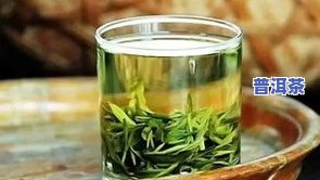 200块一两的茶叶-200块一两的茶叶怎么样