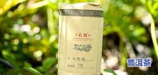 普洱茶野放-普洱茶野放茶