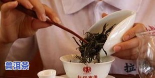 普洱茶品鉴技巧与方法大全-普洱茶品鉴技巧与方法大全视频