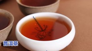 天津哪里买普洱茶苗好活-天津哪里买普洱茶苗好活的