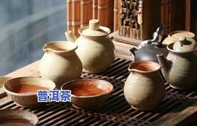 天津哪里买普洱茶苗好活-天津哪里买普洱茶苗好活的