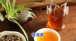 四月份的茶叶种类、价格及是否适宜饮用全解析