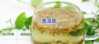 女朋生喝什么普洱茶比较好？探讨适合女性的普洱茶种类与功效