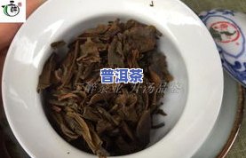 普洱茶生茶七子-普洱茶生茶七子饼