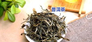 冰岛普洱茶很涩口怎么办-冰岛普洱茶很涩口怎么办呢