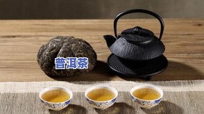 梦茶度普洱茶：探索西双版纳梦茶度茶业的价格与产品