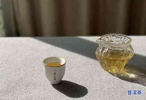 江城古树茶特点与口感全面解析：产地、品质、冲泡方法一网打尽