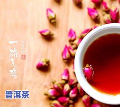 玫瑰花普洱茶的更佳冲泡方法与功效介绍