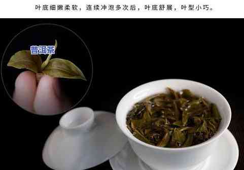 冰岛老寨普洱茶生茶100g价格及功效，几万一公斤/斤？区分生熟普？