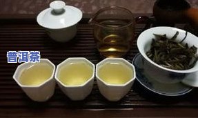 适合长期储存的茶叶品种有哪些？