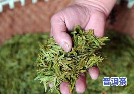 哪里可以买正宗茶叶-哪里可以买正宗茶叶呢