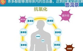 喝普洱茶能降血脂和血糖吗？科学解析其作用机制与适用人群