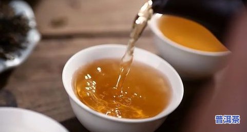 适合直接冲泡的茶叶是什么茶？快速了解各类可冲泡茶种！