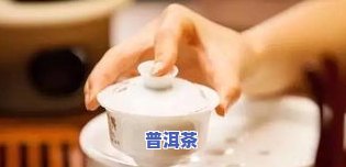 适合直接冲泡的茶叶-适合直接冲泡的茶叶有哪些