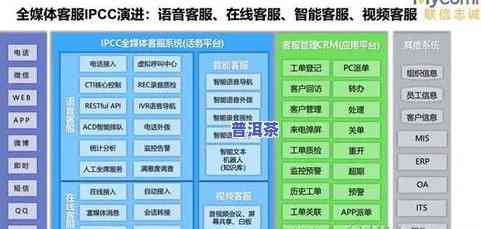 普洱茶的基本特征及其功能：全面解析