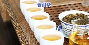 普洱茶内质特点有哪些种类-普洱茶内质特点有哪些种类的