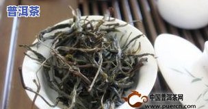 普洱茶内质特点有哪些种类-普洱茶内质特点有哪些种类的