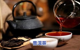 普洱茶：为何存放时间越长品质越好？