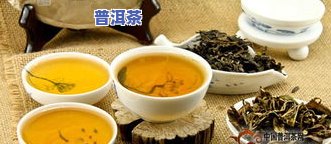 普洱茶茶饮团购：方案、价格、预订及优惠广告一网打尽！