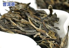 探究普洱茶南迫：特点、与冰岛的区别、老寨及价格