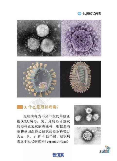 普洱茶对新型冠状病的作用：研究与效果