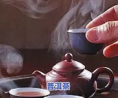 泡功夫茶更好的茶叶是什么？探讨其品种与特点