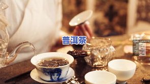 泡功夫茶更好的茶叶是什么？探讨其品种与特点