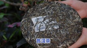 普洱茶古六大茶山介绍：历史、文化与特色茶叶全面解析