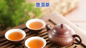 泡功夫茶更好的茶叶-泡功夫茶更好的茶叶是什么