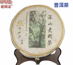 普洱茶是否适合存放在塑料瓶中？了解其安全性和影响因素