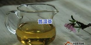 普洱茶可以放塑料杯吗-普洱茶可以放塑料杯吗有吗