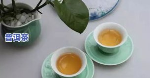 一杯普洱茶的高清大图合集 - 包含大全、壁纸等全网最全的普洱茶图片资源