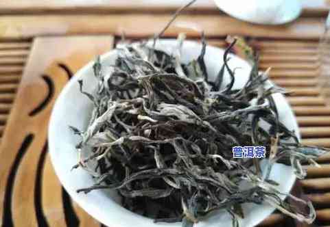 探究普洱茶饼与散茶的优缺点区别：全面对比分析