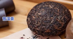 普洱茶饼茶与散茶的区别：口感、制作工艺和保存方法全解析