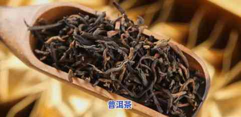 普洱老熟茶有一粒粒白点：起因及是不是能喝？附图片解析