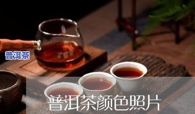 普洱茶昔归：特点、价格与冰岛对比解析