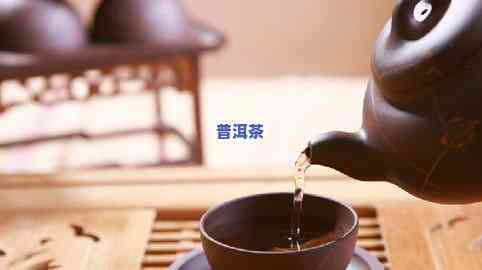 广州人常喝什么茶？了解广州人的饮茶习惯与更爱茶叶种类