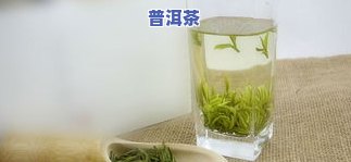 湄潭翠芽茶和普洱茶哪个更好喝？绿茶还是发酵茶？